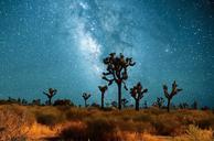 star-sky-milky-way-night-1096924.jpg