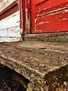 step-old-wood-decay-508500.jpg