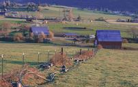 agriculture-farming-oregon-rural-968998.jpg