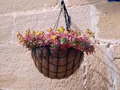 plant-pot-flowerpot-plant-trim-1301474.jpg