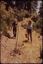 California_-_Big_Basin_Redwoods_State_Park_-_NARA_-_543483.tif