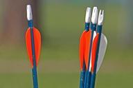 arrows-archery-bogensport-arch-546842.jpg