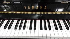 piano-keyboard-music-musical-622768.jpg