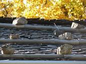 roof-wooden-roof-wood-stones-alm-62574.jpg