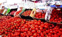 tomatoes-box-farmers-local-market-418203.jpg