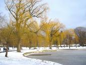 boston-massachusetts-park-winter-77538.jpg