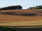 fields-landscape-arable-462408.jpg