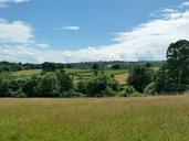 fields-wales-scenery-summer-trees-1603090.jpg