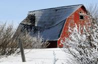 barn-red-barn-winter-farm-country-1635370.jpg