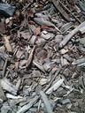 wood-chips-wood-bark-350408.jpg