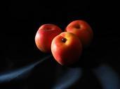 fruit-apricot-fruit-of-the-sun-468192.jpg