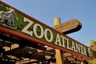 zoo-atlanta-wildlife-animal-nature-244765.jpg