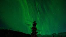 northern-lights-green-aurora-1149130.jpg