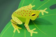 frog-tree-frog-pop-up-folded-1173541.jpg