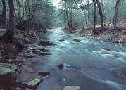 stream-wilderness-water-river-864876.jpg