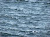 ocean-water-sea-wave-waves-nature-440523.jpg