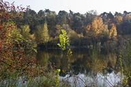 pond-autumn-bright-fall-color-260350.jpg