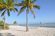 palm-trees-beach-sand-holiday-648818.jpg