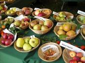 apples-fruit-fruits-apple-varieties-954932.jpg