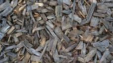 tree-wood-chips-wood-background-1544716.jpg