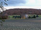 lavender-field-house-farm-flowers-1062531.jpg