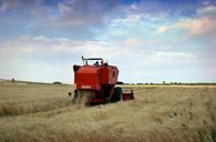 agriculture-puglia-wheat-work-536140.jpg