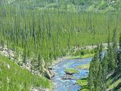 yellowstone-national-park-wyoming-77874.jpg