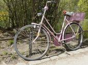 bicycle-bike-sport-transportation-329426.jpg