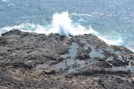 hawaii-ocean-rocks-waves-spray-731023.jpg