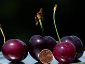 cherries-large-huge-size-comparison-167811.jpg