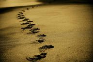 sand-footsteps-footprints-beach-768783.jpg