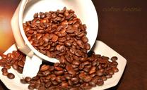 coffee-beans-coffee-roasted-aroma-618964.jpg