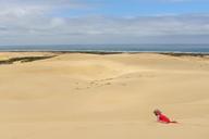 sand-dune-baby-crawl-child-1615562.jpg