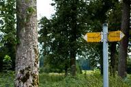 trail-directory-shield-signposts-453787.jpg