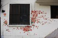 ant-town-mural-flowers-wall-734649.jpg