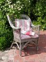 basket-chair-pillow-garden-shrubs-1034339.jpg