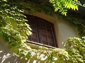 window-shutters-architecture-969720.jpg