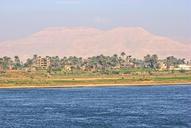 egypt-summer-nature-water-green-1002498.jpg