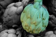 artichoke-green-public-record-816577.jpg