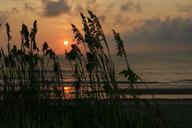 Sunrise over Pea island national wildlife refuge.jpg