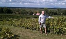 vineyards-quebec-vineyard-romance-352498.jpg