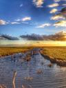 marsh-cuxhaven-romance-sunset-reed-266114.jpg