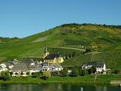 vineyards-mosel-winegrowing-village-992553.jpg