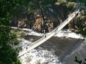 suspension-bridge-tsitsikamma-416950.jpg