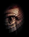 eye-woman-grid-face-digital-design-264990.jpg