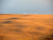 sand-dune-dunes-desert-traces-449562.jpg