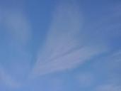 sky-cirrus-cloud-260469.jpg