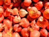 onion-food-vegetables-vegetable-181999.jpg