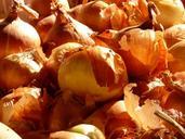 onion-vegetables-food-market-73920.jpg