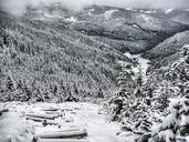 winter-landscape-snow-1328981.jpg